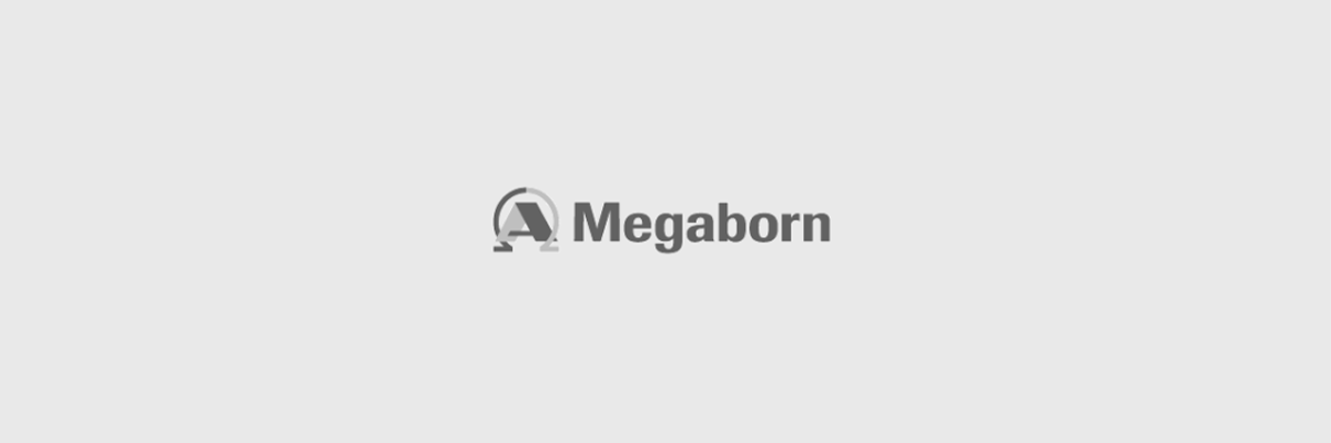 Organisatiestructuur, historie en naam Megaborn