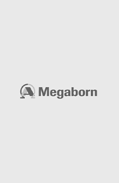 Organigram Megaborn